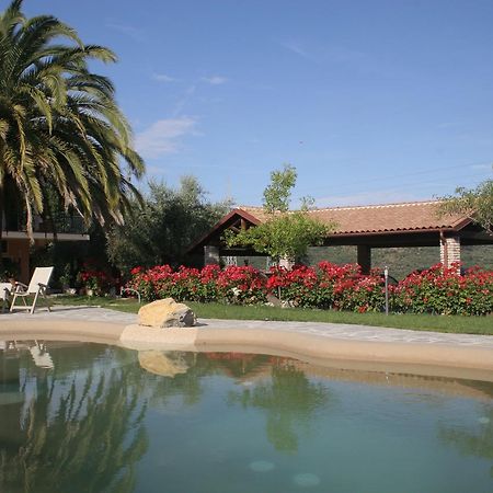 Agriturismo Ada Musso Ss Diano Borello Exteriör bild