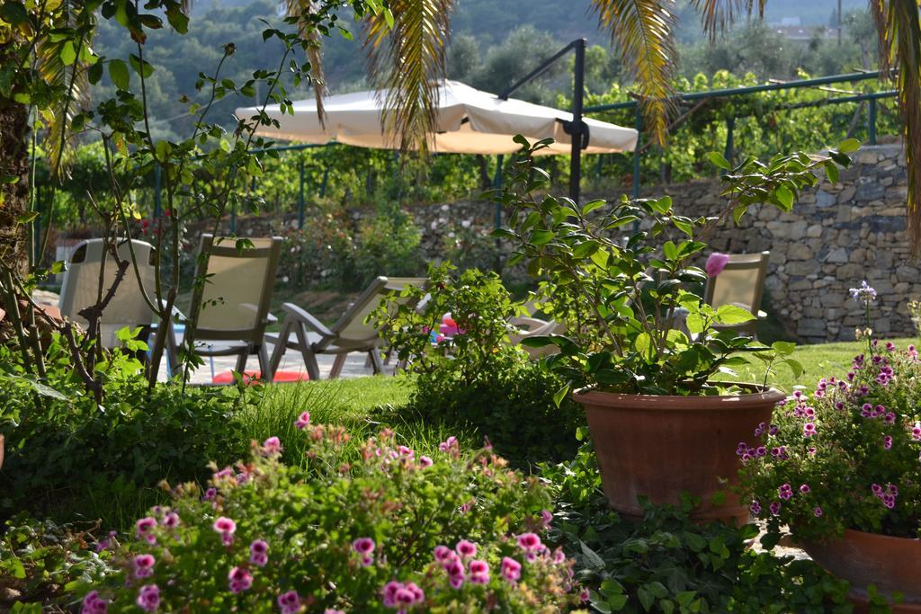 Agriturismo Ada Musso Ss Diano Borello Exteriör bild