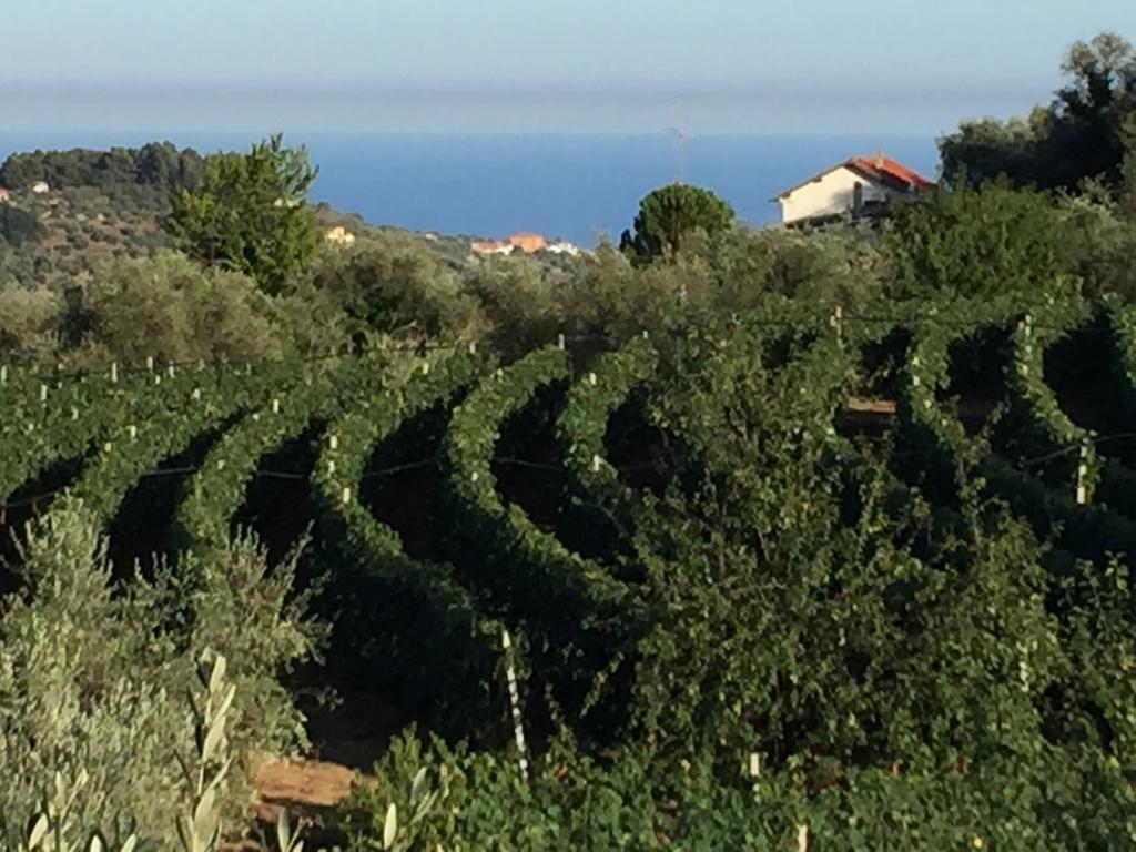 Agriturismo Ada Musso Ss Diano Borello Exteriör bild