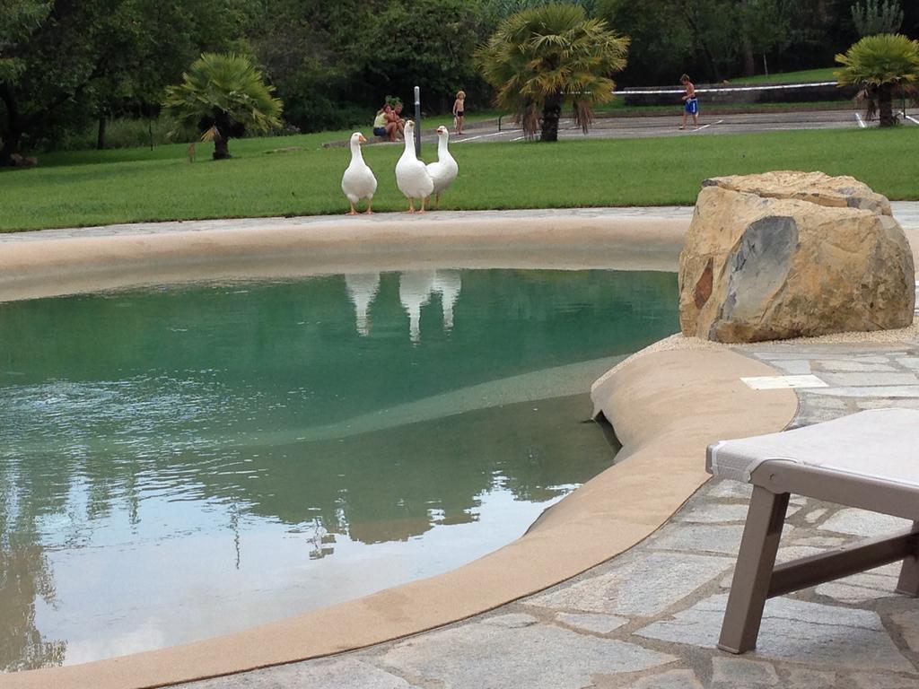 Agriturismo Ada Musso Ss Diano Borello Exteriör bild