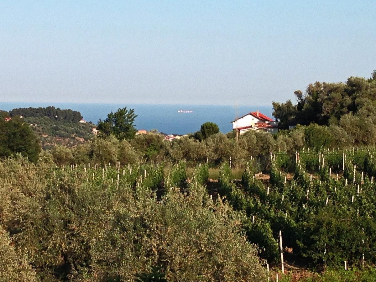 Agriturismo Ada Musso Ss Diano Borello Rum bild