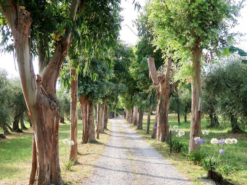 Agriturismo Ada Musso Ss Diano Borello Exteriör bild